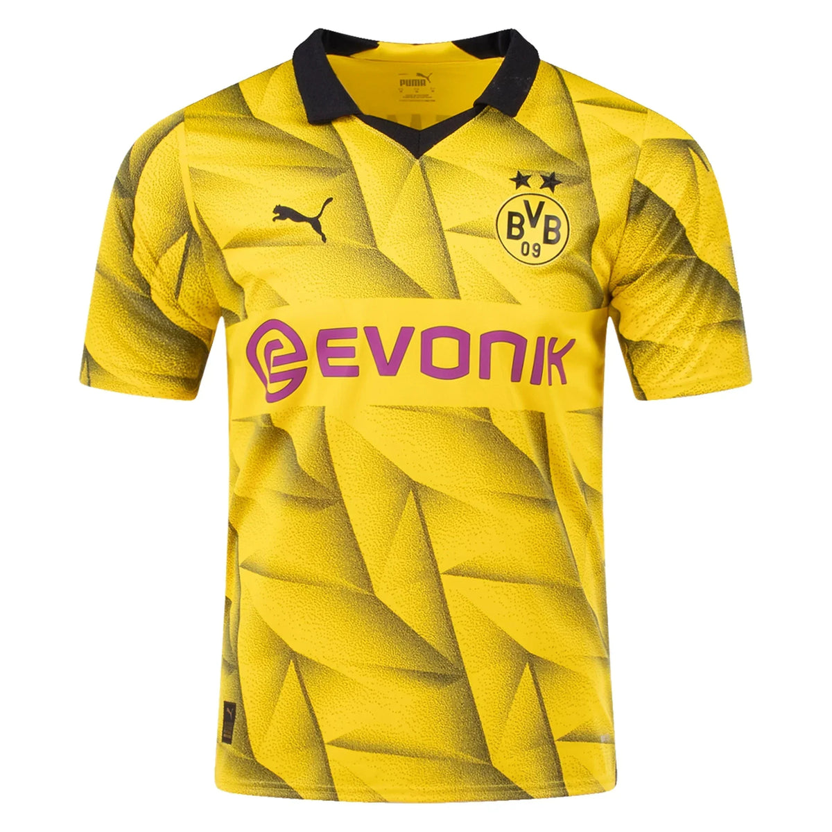Borussia Dortmund 23/24 SPECIAL UCL